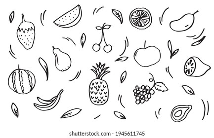 doodle hand drawn collection of fruits.line drawing.vector illustration.
