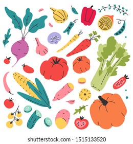 Doodle hand drawn collection of vegetables. Doodle style food set of organic products for retail, farming, market or fair. Isolated vector illustrations of tasty fresh organic food for restarant, menu