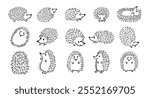 Doodle hand drawn cute hedgehog set. Hand drawn adorable hedgehog collection. Outline drawing for children. Vector illustration