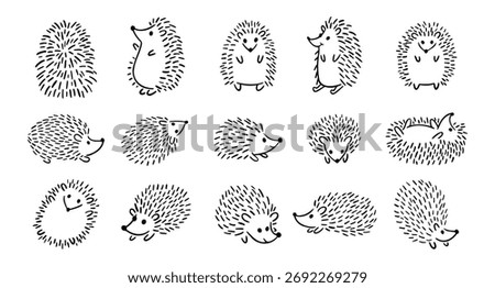 Doodle hand drawn cute hedgehog set. Hand drawn adorable hedgehog collection. Outline drawing for children. Vector illustration