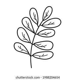 Doodle hand drawn flat vector botanical leaves line illustrations isolated on white background. Cute leaves for greeting cards and wedding invitations 
