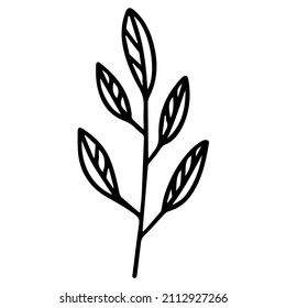 Elementos florales dibujados a mano con doodle. Ramas de árbol y flores.