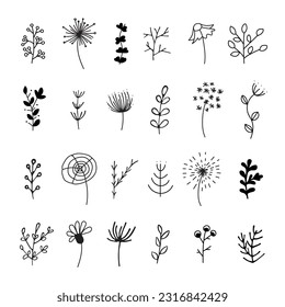 Doodle hand drawn floral elements on white background. Flower ornament design. Vector illustration.