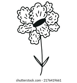 Doodle hand drawn flower. Vector illustration
