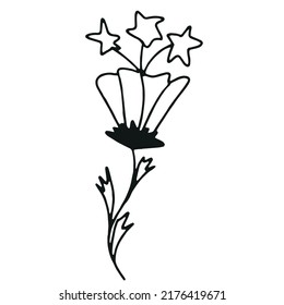 Doodle hand drawn flower. Vector illustration