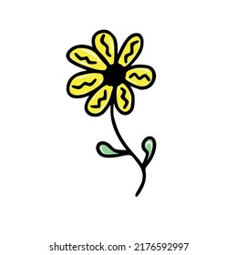 Doodle hand drawn flower. Vector illustration