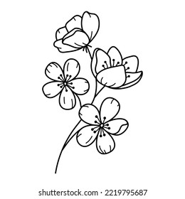 Doodle hand drawn flowers branch. Line art botanical floral design element, flax flower for greeting card and wedding invitation, tattoo. Monochrome vector illustration.