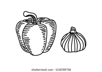 doodle hand drawn food and vegetable line art vector illustration