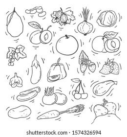 Doodle hand drawn fruits and vegetables on white background