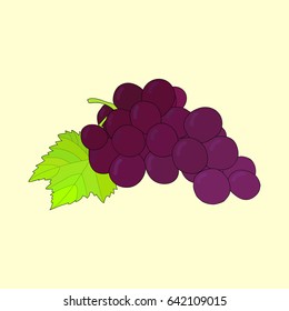 Doodle hand drawn grapes.