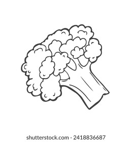 Doodle hand drawn illustration of broccoli, ink drawing imitation