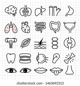 Doodle hand drawn Internal organs