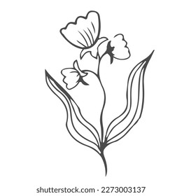 Doodle hand drawn leaves, foliage, cute elegant aesthetic plant isolated on white background. Border, design element, sketchy drawing