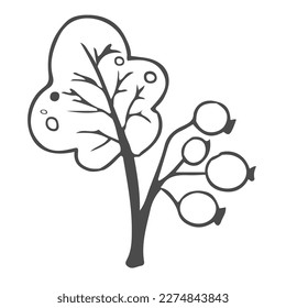 Doodle hand drawn leaves, foliage, cute elegant aesthetic plant isolated on white background. Border, design element, sketchy drawing