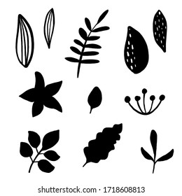 Doodle hand drawn leaves shape vector collection, black ink illustration isolated on white background, element set