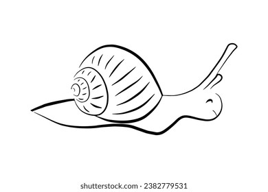 Doodle hand drawn linear snail icon isolated on white background. Simple animal sign.