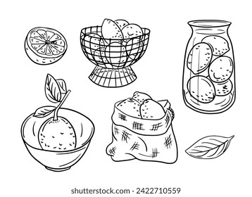 Doodle hand drawn outline set with groups of lemons. Sketchy black contour cut and whole fruits in bowl, in jar and in a sack on white background. Ideal for coloring pages, tattoo, pattern