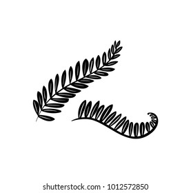 Doodle hand drawn palm branches with leaves isolated on white