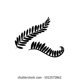 Doodle hand drawn palm branches with leaves isolated on white