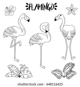 Doodle hand drawn set of illustrations, pink rose elegant slim flamingo in various poses, tropical jungle plants and flowers, design and decoration elements.