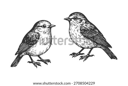 Doodle hand drawn small birds sketch. Sparrow engraving illustration set. 