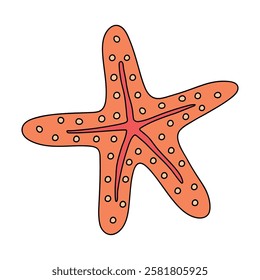 Doodle hand drawn Starfish vector illustration. Starfish coloring page printable. Trace and color Starfish for summer worksheets. Cartoon starfish vector. Summer worksheets activity for kids.