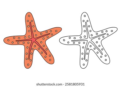 Doodle hand drawn Starfish vector illustration. Starfish coloring page printable. Trace and color Starfish for summer worksheets. Cartoon starfish vector. Summer worksheets activity for kids.