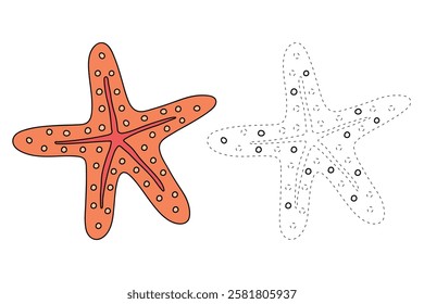 Doodle hand drawn Starfish vector illustration. Starfish coloring page printable. Trace and color Starfish for summer worksheets. Cartoon starfish vector. Summer worksheets activity for kids.