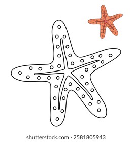 Doodle hand drawn Starfish vector illustration. Starfish coloring page printable. Trace and color Starfish for summer worksheets. Cartoon starfish vector. Summer worksheets activity for kids.