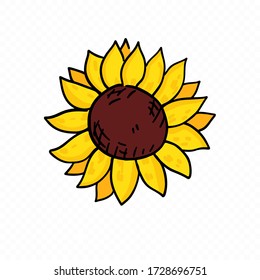 Doodle hand drawn sunflowers in bloom. Bright funny style, freehand contour. Premium vector.