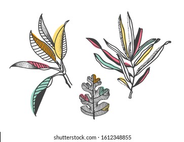 Doodle hand drawn twigs and leaf illustration