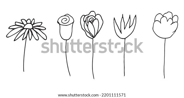 Doodle Hand Drawn Vector Flowres Stock Vector (Royalty Free) 2201111571 ...