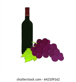 Doodle hand drawn vector sketch of grapes, wine bottle.