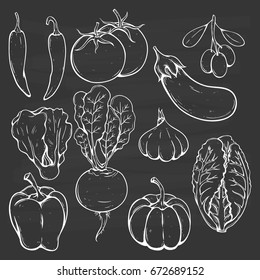doodle or hand drawn vegetables collection with chili pepper, eggplant, garlic, pumpkin, radish and olive on chalkboard background