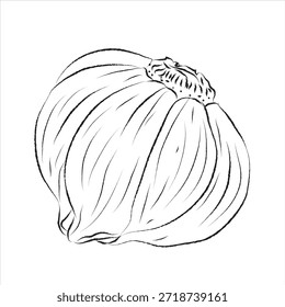 Doodle handgezeichnete Symbol-Set, Umrisszeichnung, Umrisszeichnung für Knoblauch, Vektor, Vektor Knoblauch Linie Kunst, Handgemälde-Set, Vektordesign ideal für Verpackungsdesign, Lebensmittelmarken, Produktdesign, und Etikettendesign, EPS-Format