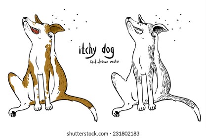 Doodle hand-drawn itchy dog