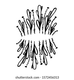 Doodle hand-drawn template plants for design with grunge brush ink sketched abstract leaves or grass. Hand-drawn doodle decorative elements. Ecology ornament. Summer symbol. Decoration for label.