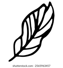 Doodle hand-drawn vector leaf. Vector illustration