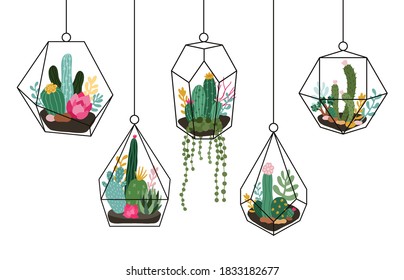Doodle hanging terrarium. Succulents and cactuses glass florariums, tropical plants interior geometric terrarium isolated vector illustration set. House or office decor in scandinavian style