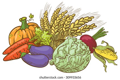 Doodle harvesting composition with vegetables. Autumn crop for Thanksgiving cards, posters, market tags. Vector illustration of cabbage, ripe, beets, wheat, eggplant carrots in line art style