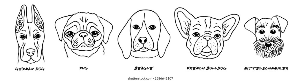 Doodle heads of different breeds dogs set. Dog, pug, beagle, bulldog, mittelschnauzer