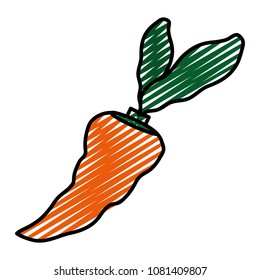 doodle healthy carrot fresh vegetable food