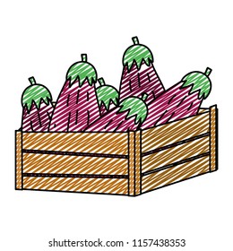 doodle healthy eggplants vegetables inside wood basket