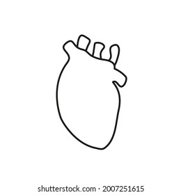 El doodle del corazón es el sistema cardiovascular humano. La medicina, el concepto de salud humana.