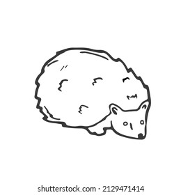 Doodle hedgehog icon in vector. Hand drawn hedgehog icon in vector