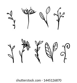 doodle herbal and flourish set illustration in cartoon handdrawn style