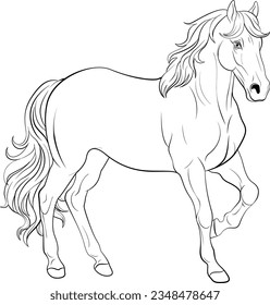 Doodle horse cartoon doodle illustration