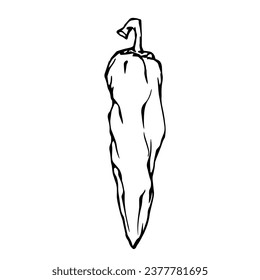 Doodle of hot chili pepper pod.Vector graphics.