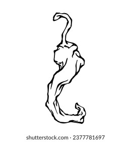Doodle of hot chili pepper pod.Vector graphics.