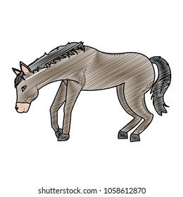 doodle house animal to aventure travel transport